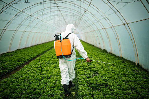 Best Mosquito Control Services  in Lawrence, MA