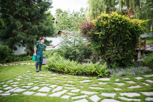 Best Pest Prevention Services  in Lawrence, MA