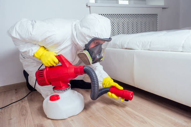 Wasp Removal Services in Lawrence, MA