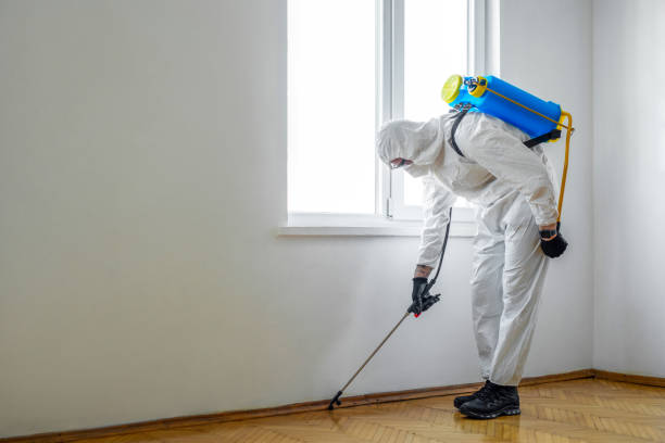 Best Local Pest Control Services  in Lawrence, MA