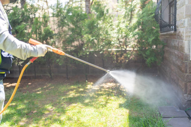 Trusted Lawrence, MA Pest Control Experts