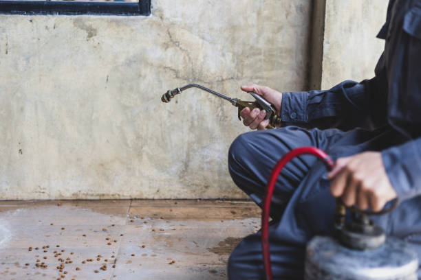 Best Emergency Pest Control  in Lawrence, MA